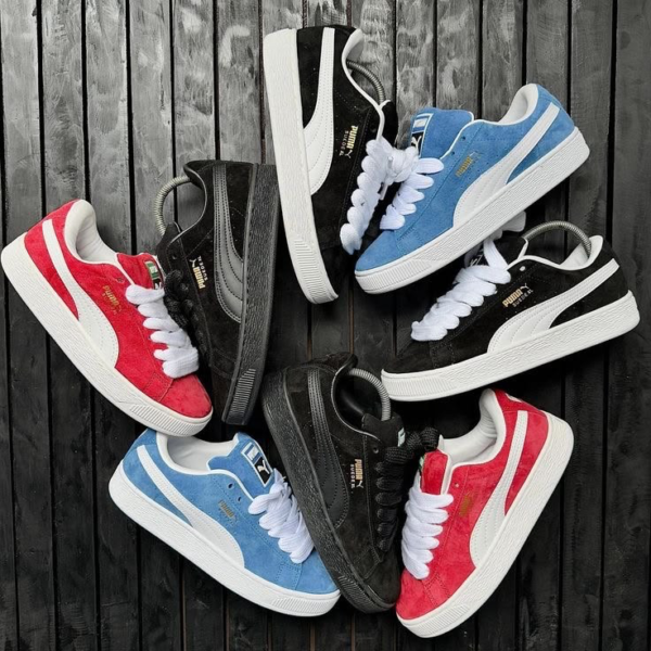 Puma Shoe Pallets